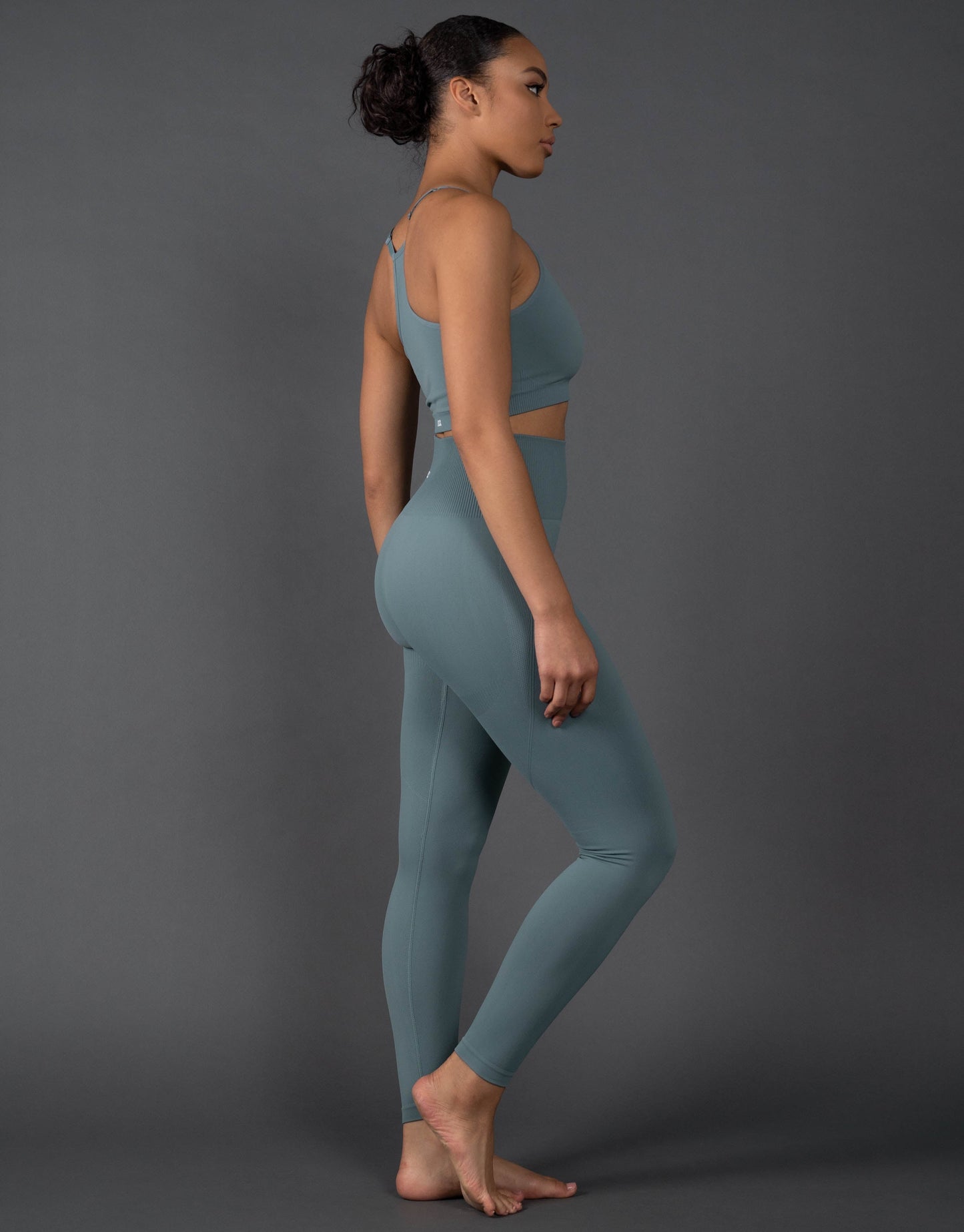 STAX. Premium Seamless V5.1 (Favourites) Full Length Tights - Mist (Blue/Grey)